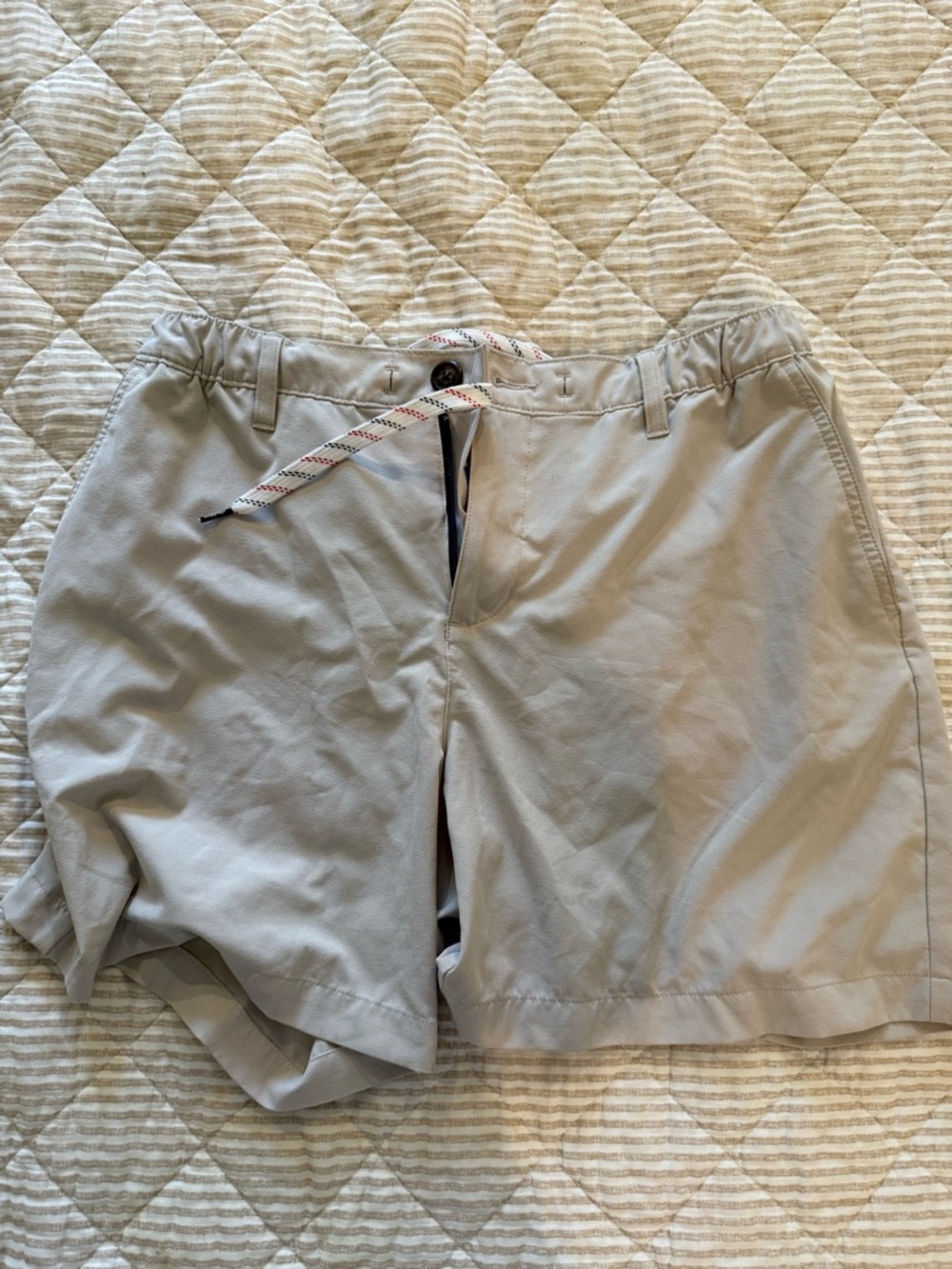 chubbies Light Gray Casual Flat Front Shorts